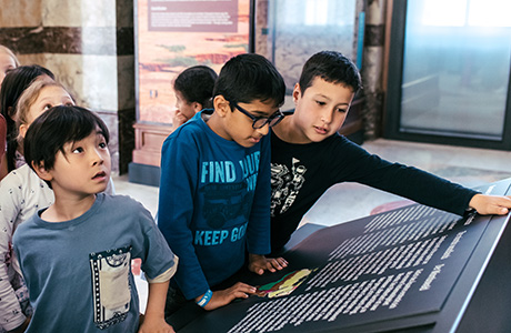 Algemene rondleiding